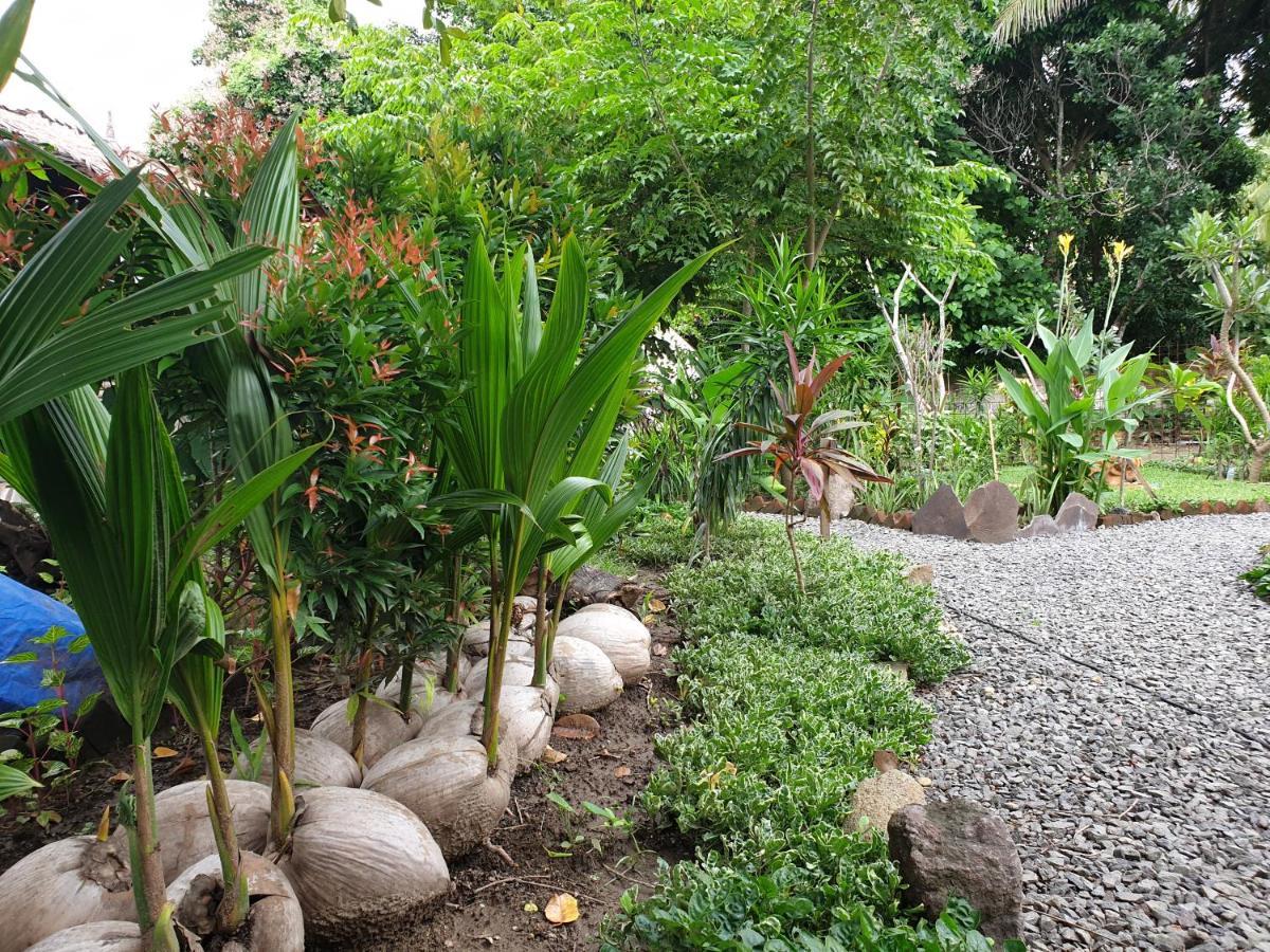 Same Same Bungalows - Eco Friendly Kuta  Exterior photo