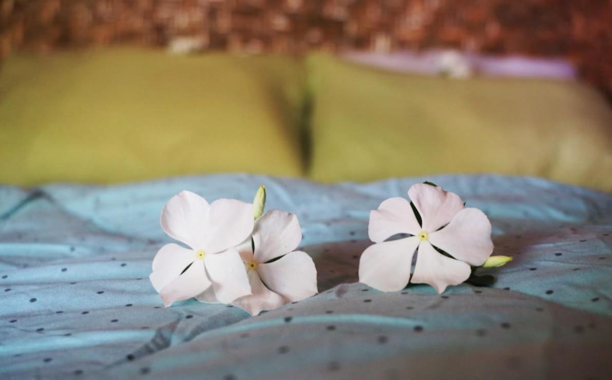 Same Same Bungalows - Eco Friendly Kuta  Room photo